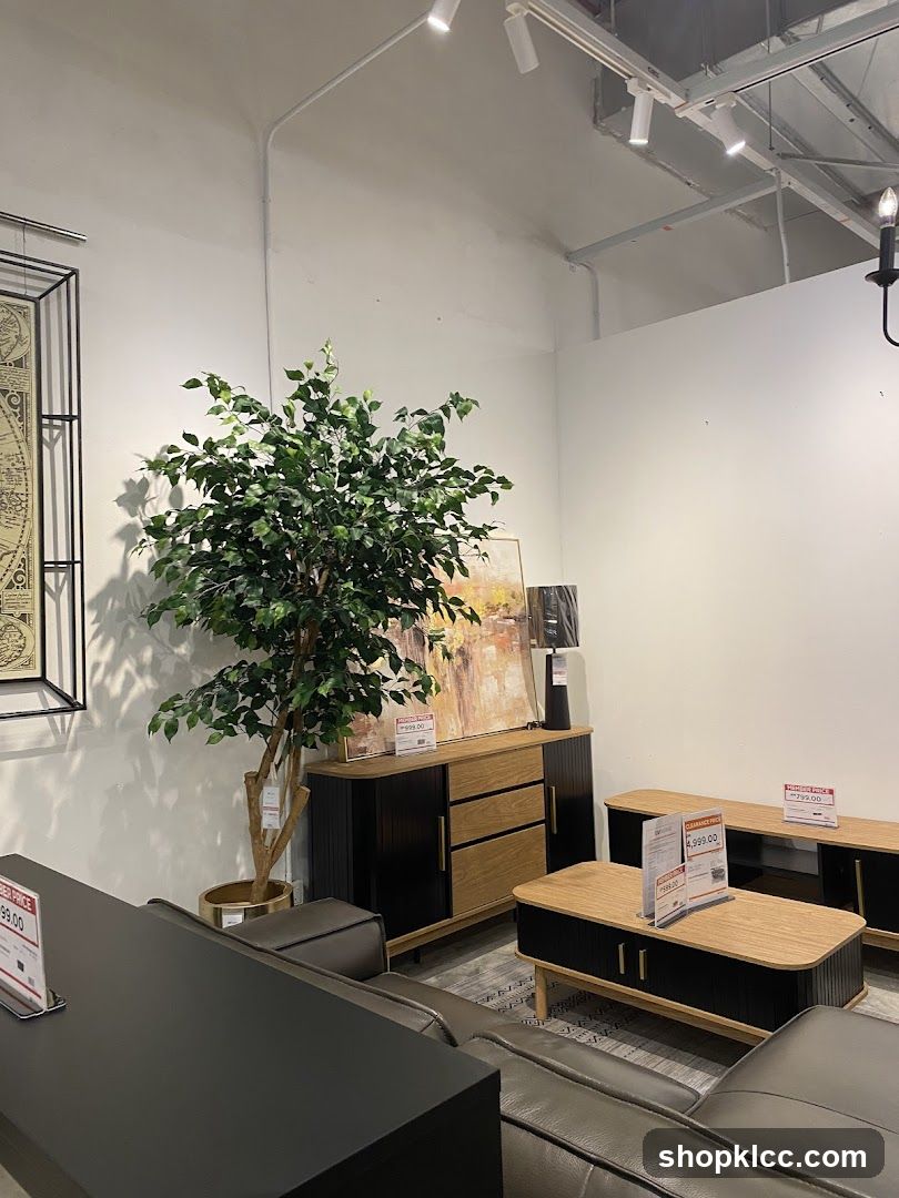 Furniture Store Interior Display