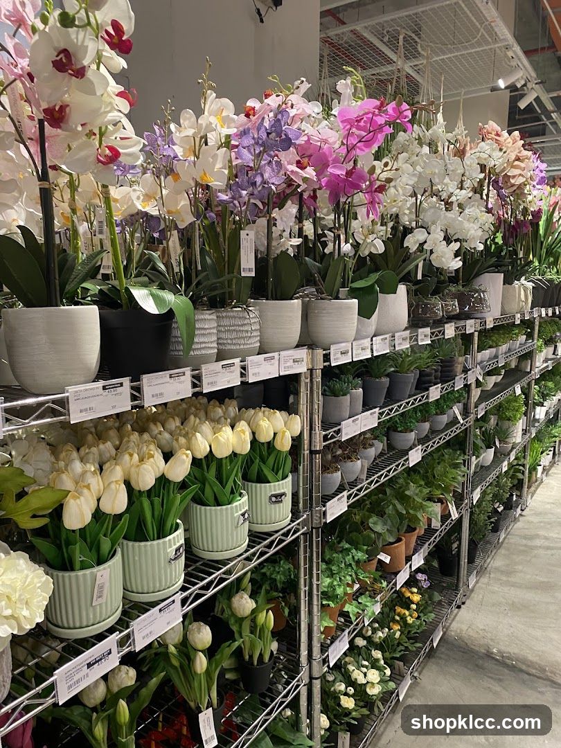 Flower Shop Interior