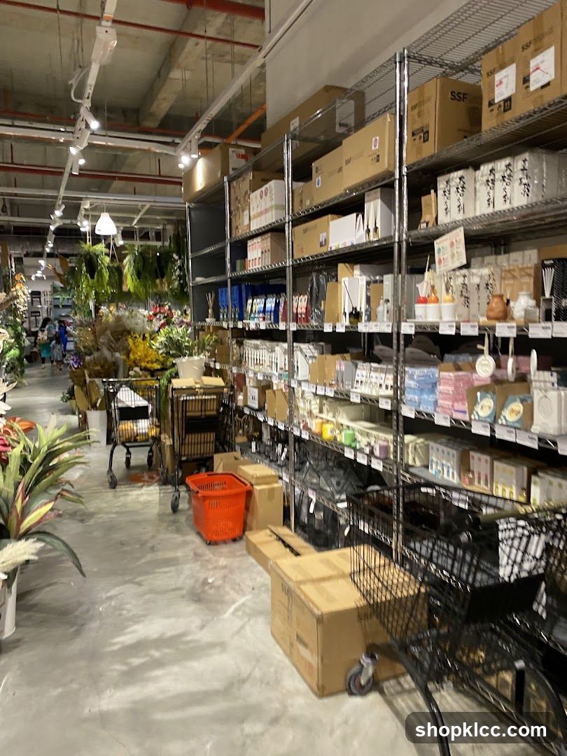 Interior of a retail store with shelves and plants
