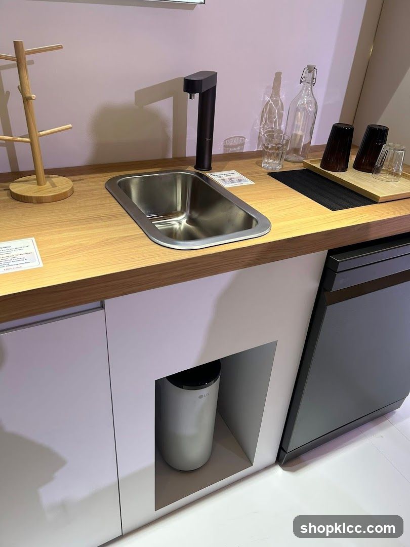 Modern Kitchen Sink Setup