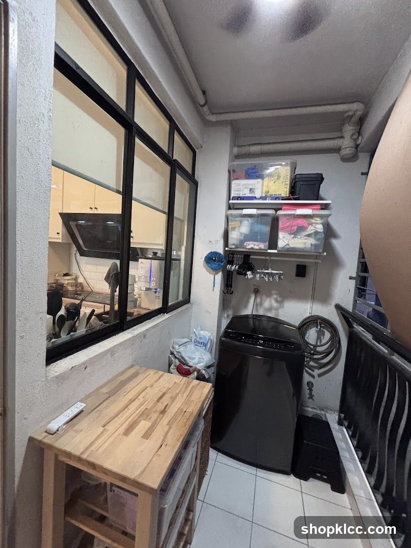 Laundry and Storage Area