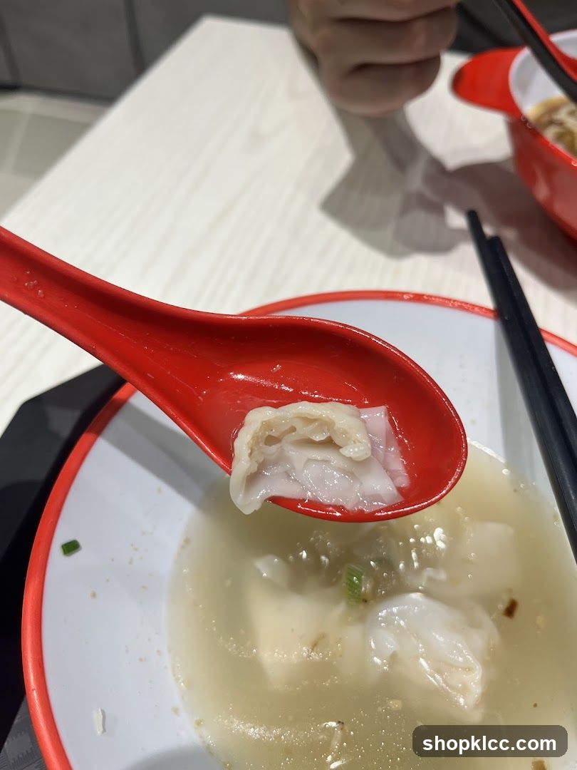 Wonton Soup