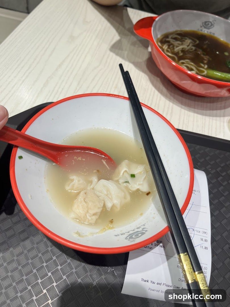 Wonton Soup and Noodles