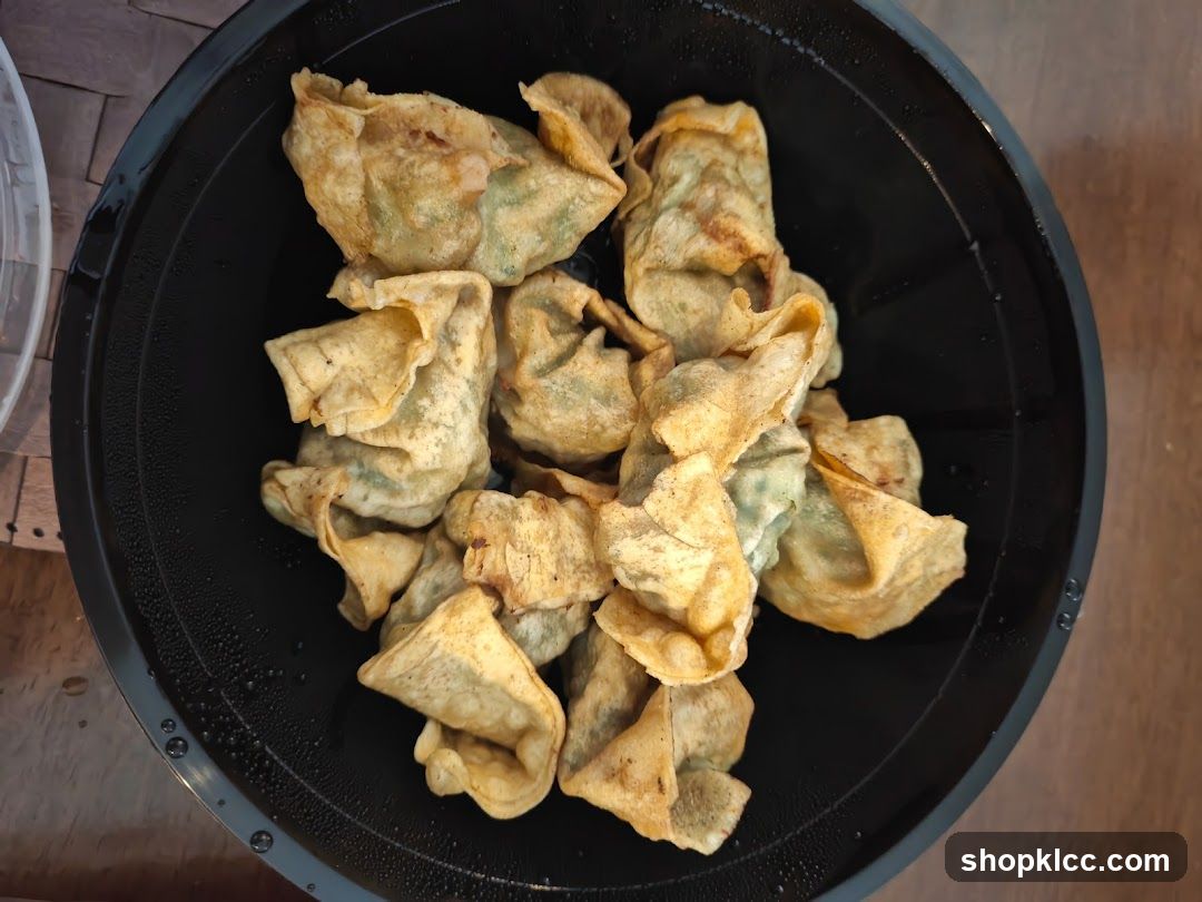 Fried Dumplings