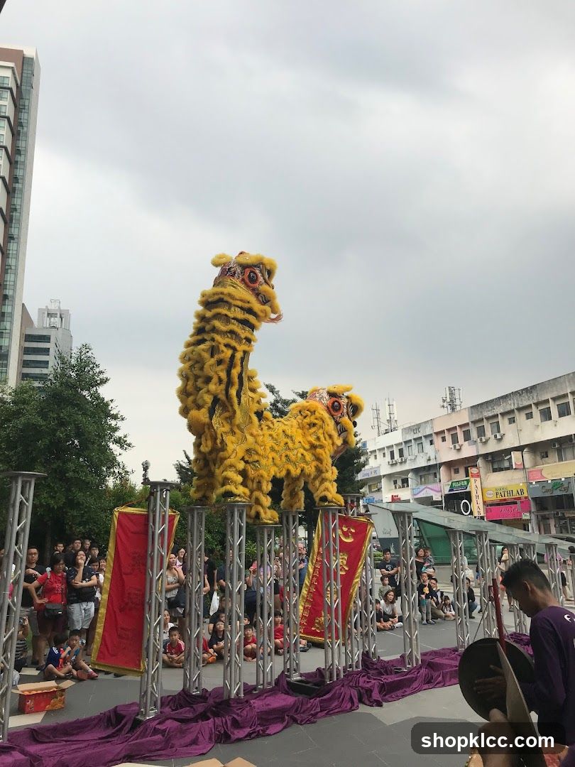 Lion Dance Performance