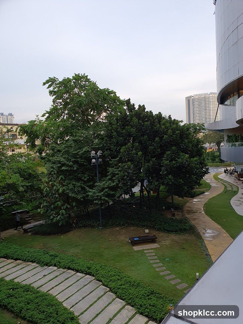 Urban Park View
