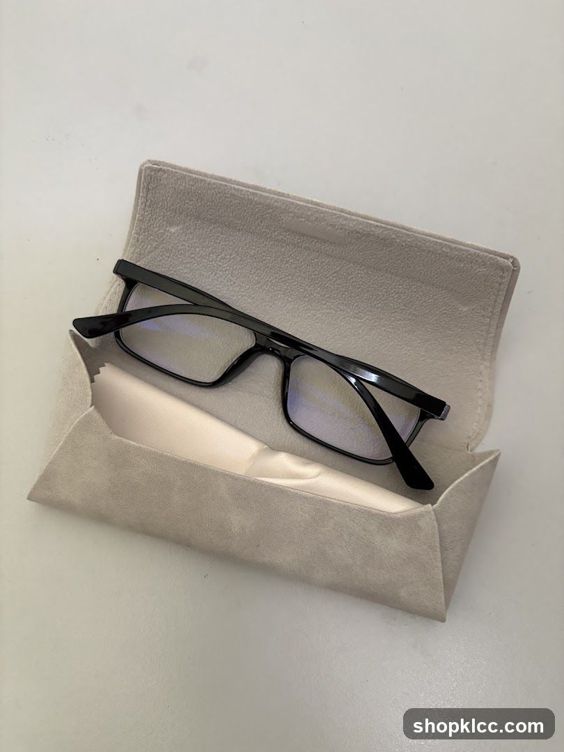 Eyeglasses in a case