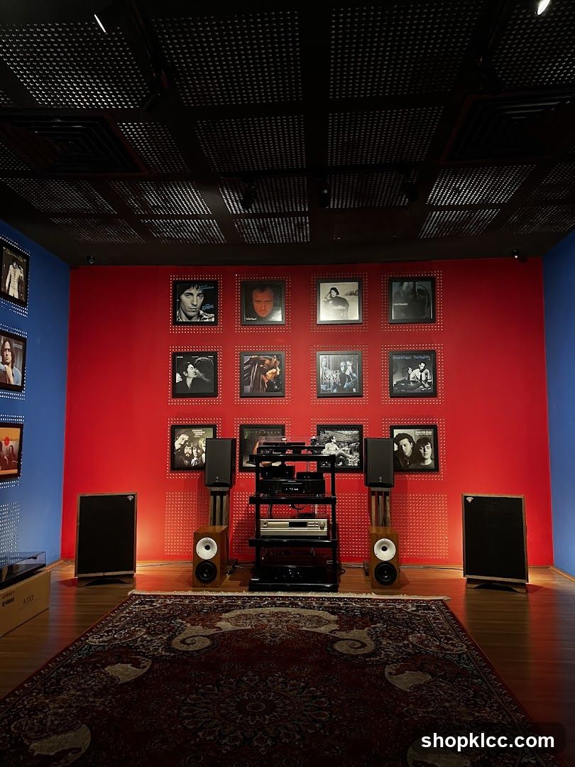 Record Store Display