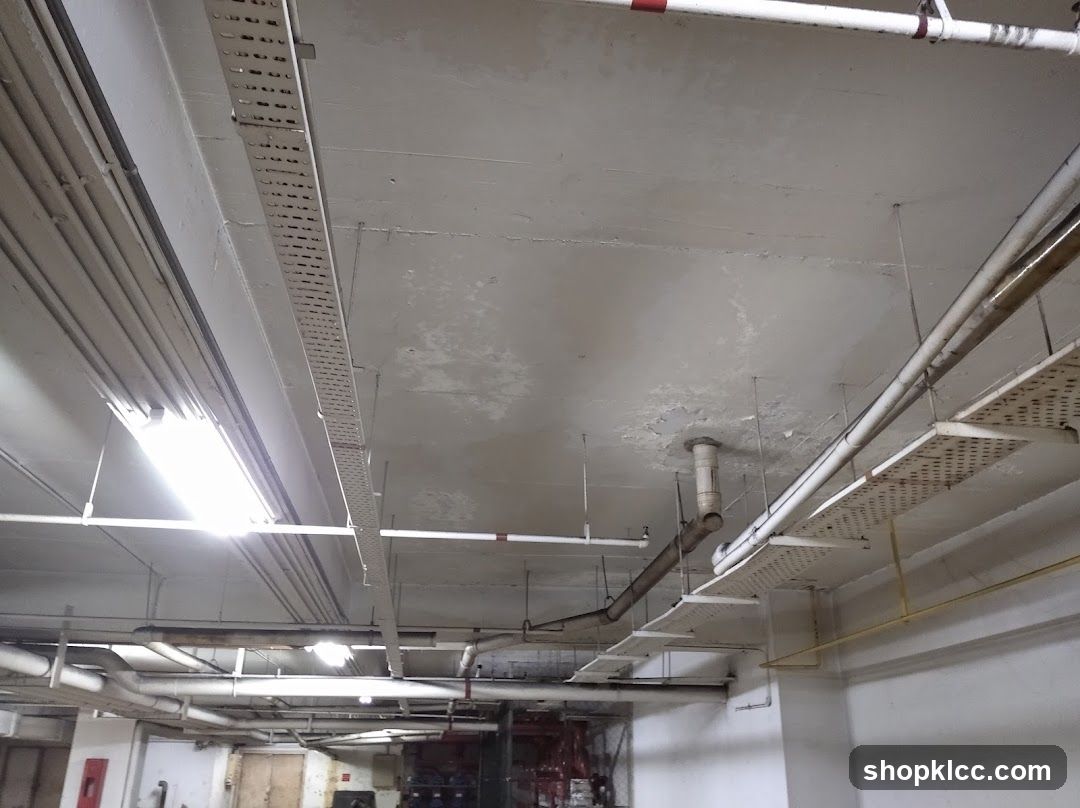 Exposed Ceiling Infrastructure