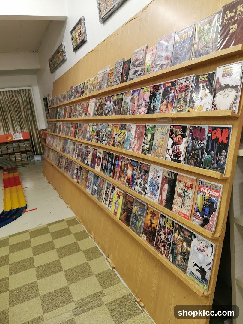 Comic Book Store Shelving