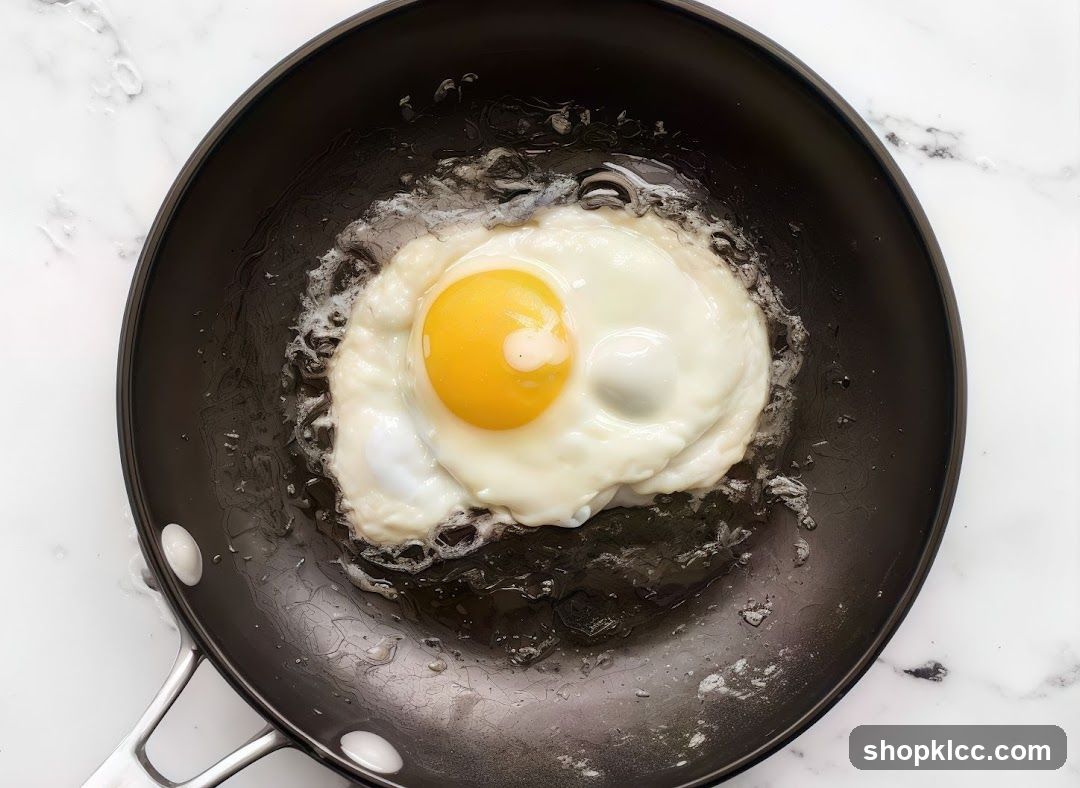 Fried Egg in Pan