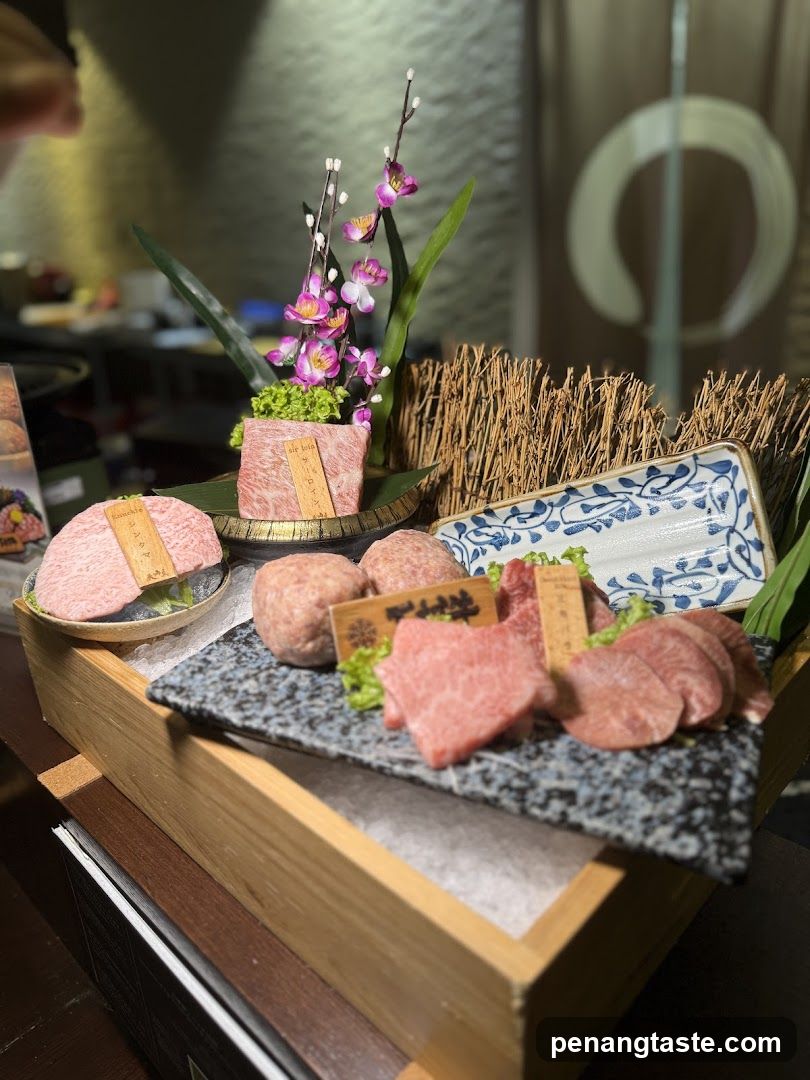 Wagyu and Rice