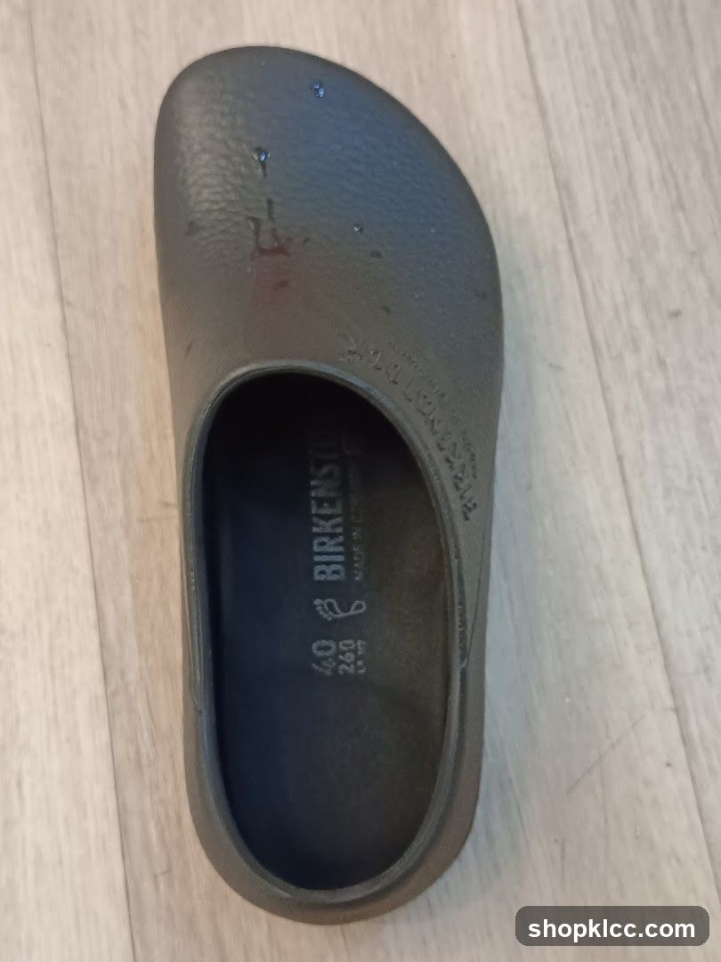 Birkenstock Shoe