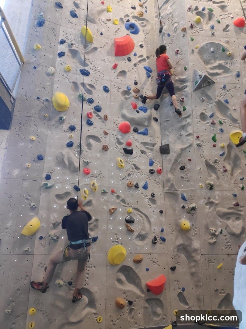 Climbing Wall