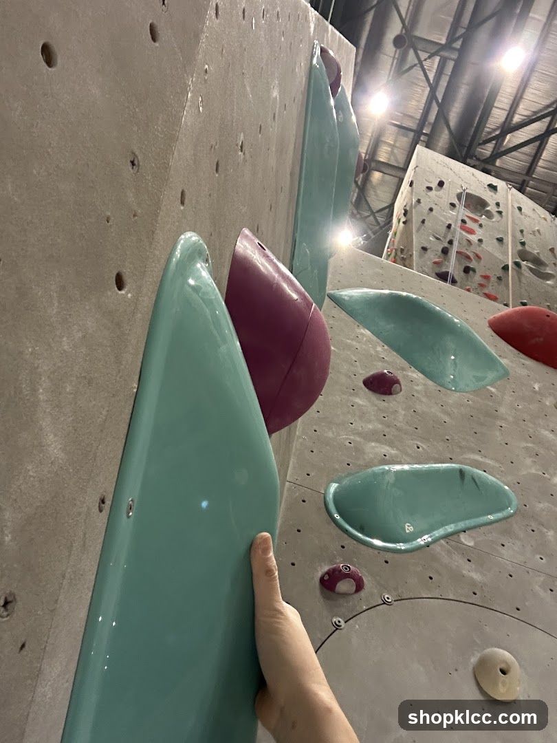 Climbing Wall Holds