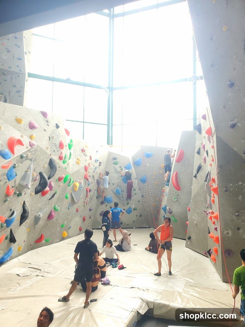 Indoor Climbing Gym