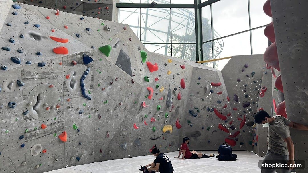 Indoor Climbing Gym