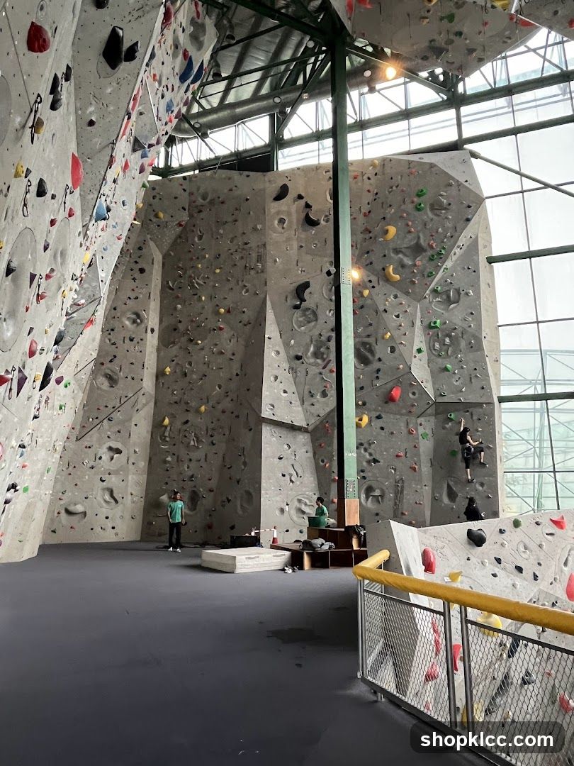 Indoor Climbing Gym
