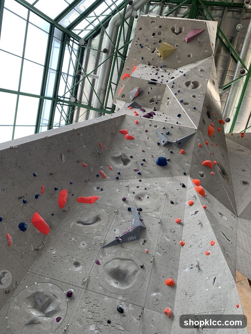 Indoor Climbing Wall