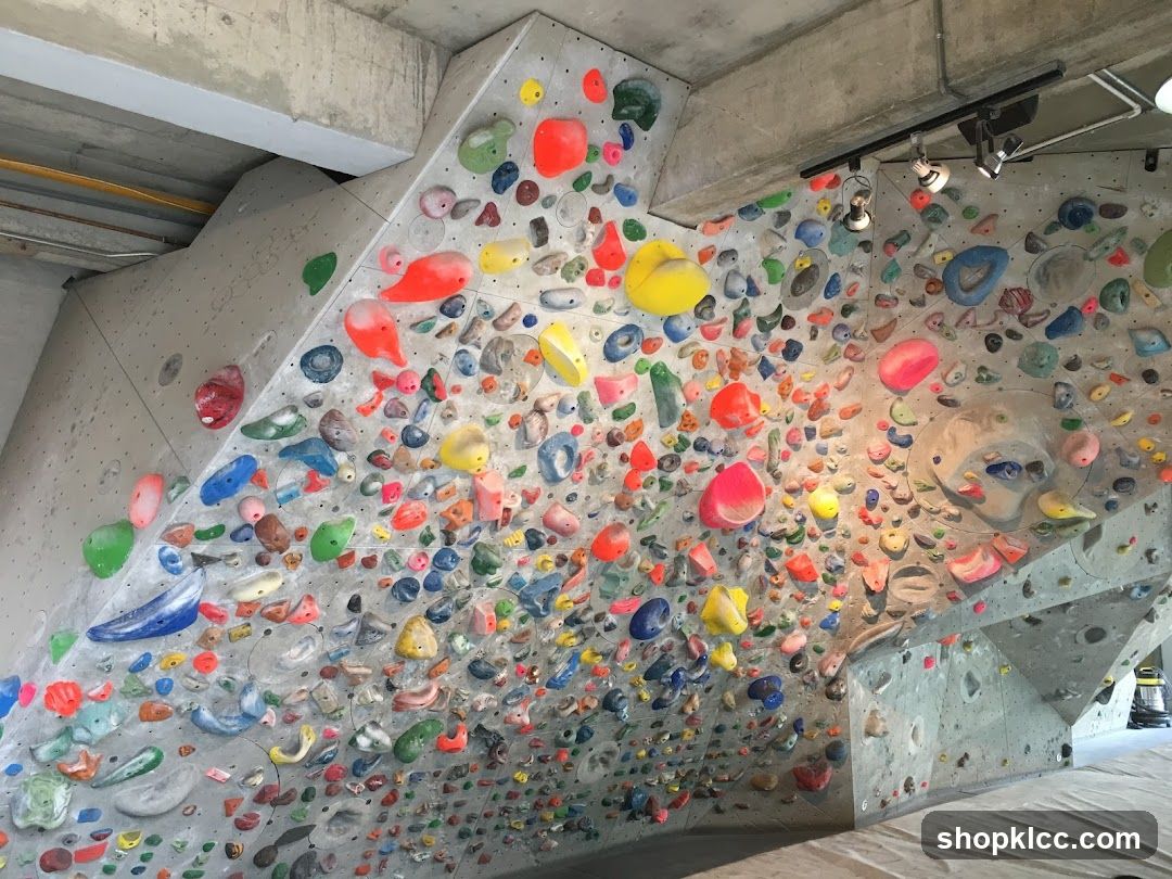 Climbing Wall with Colorful Holds