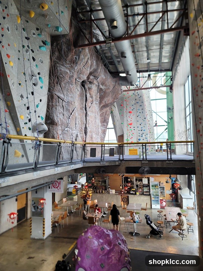 Indoor Climbing Gym with Cafe