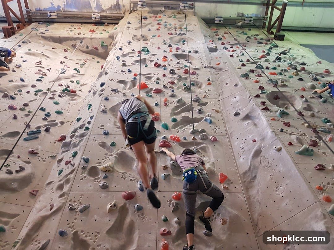 Indoor Climbing Wall