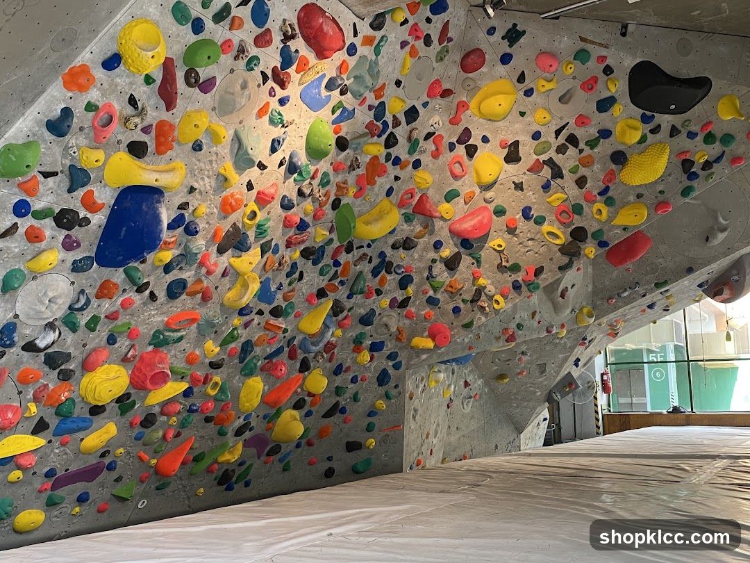 Climbing Wall with Colorful Holds