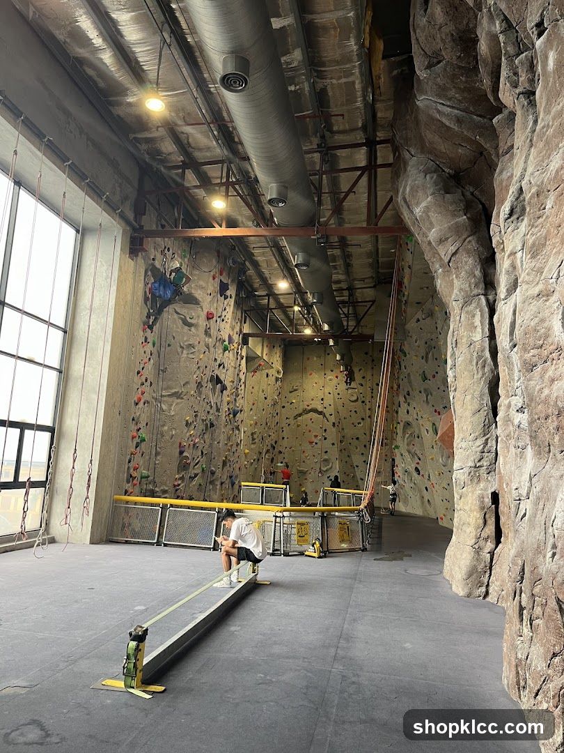 Indoor Climbing Gym