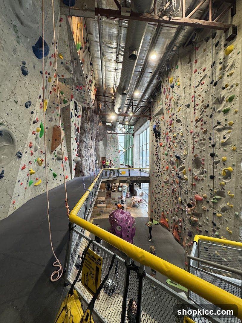 Indoor Climbing Gym