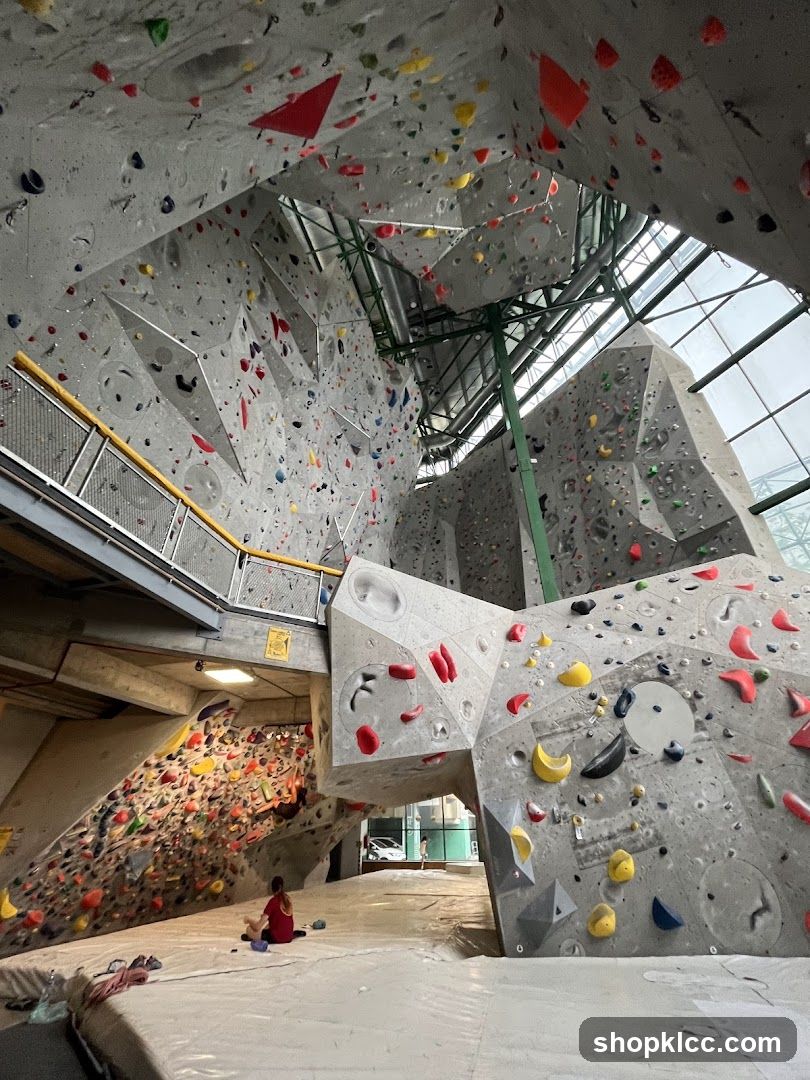 Indoor Climbing Gym