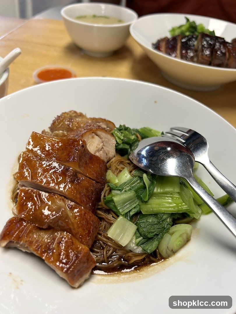 Roast Duck Noodles