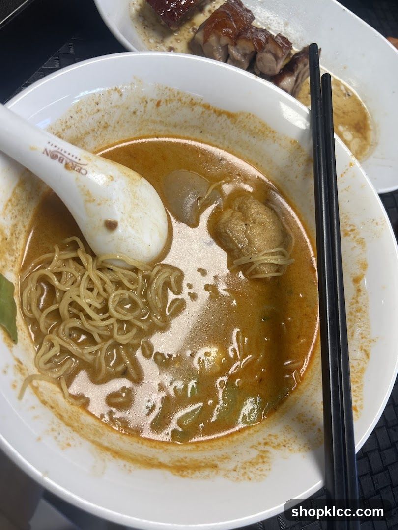 Curry Noodles and Roasted Meat