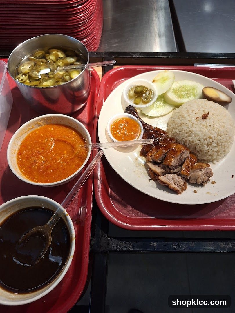 Roast Duck Rice