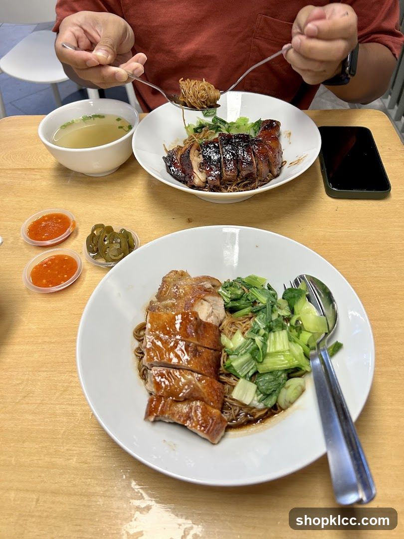 Duck Noodles