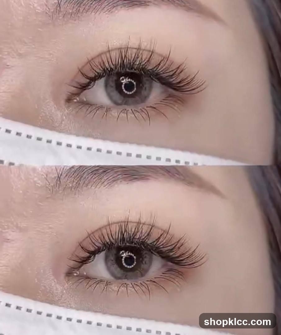 Brow&Co