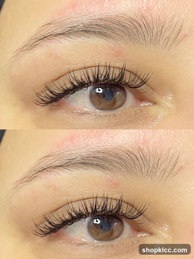 Brow&Co