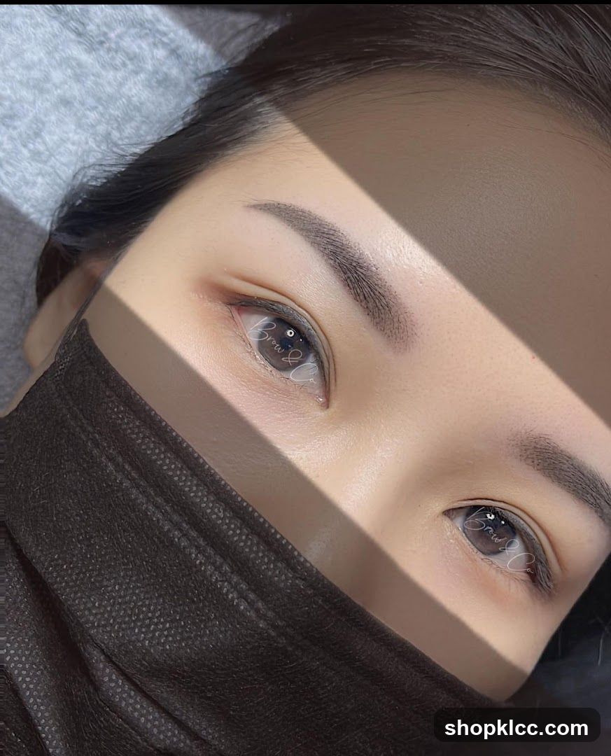 Eyebrow and Eye Makeup Application