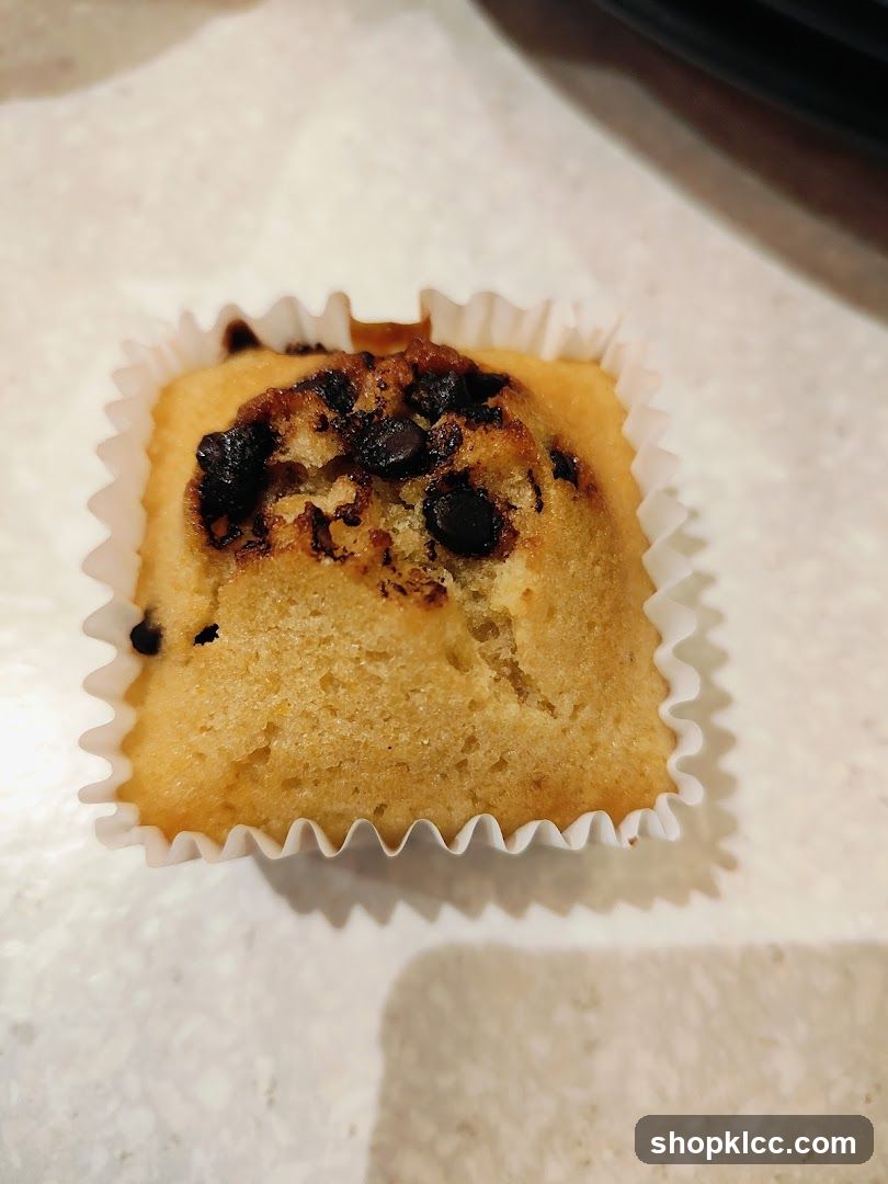 Chocolate Chip Mini Loaf