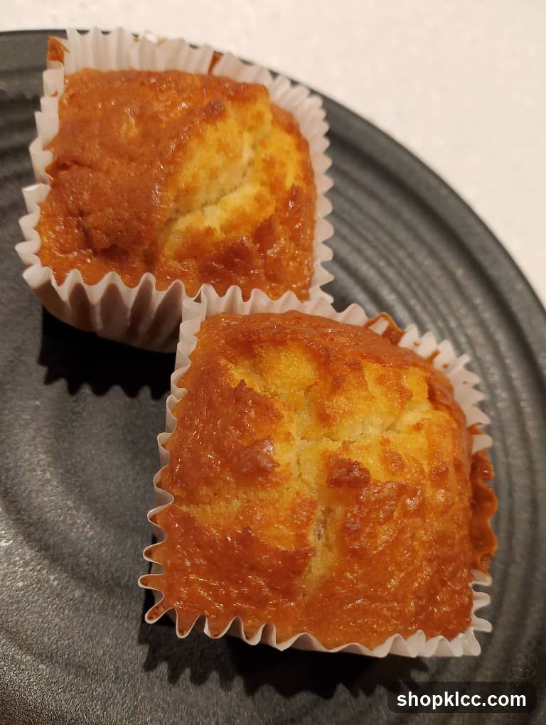 Two Muffins on a Plate