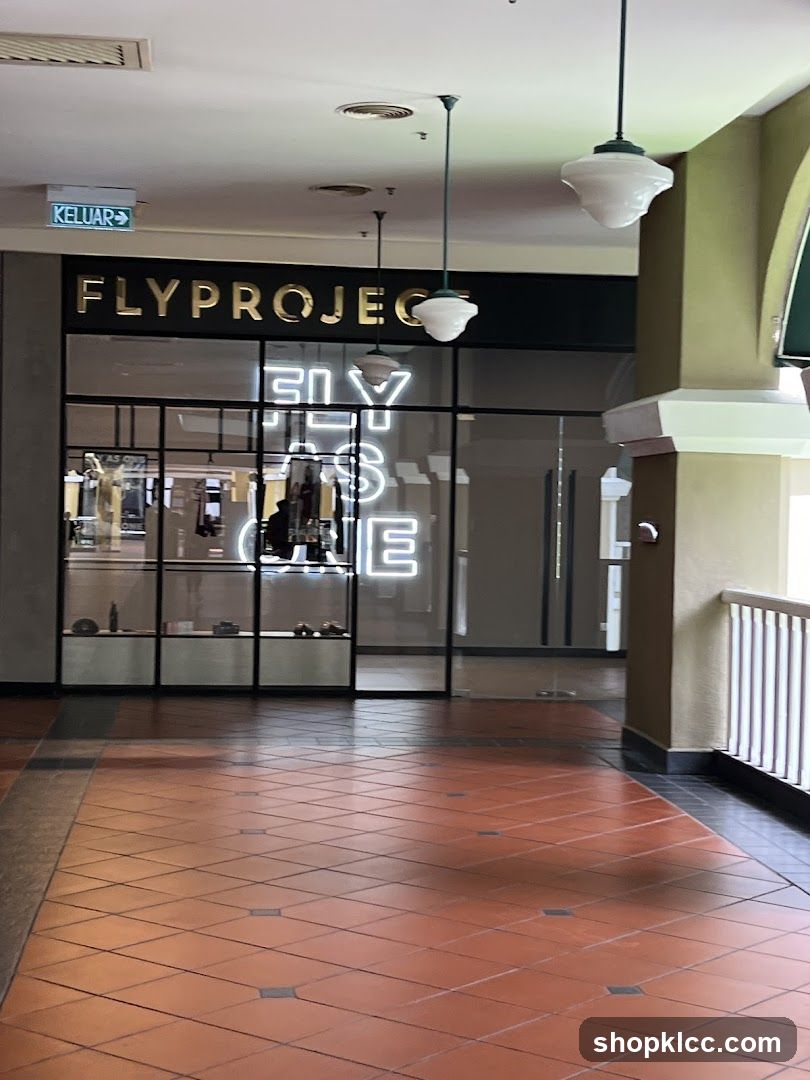 Flyproject