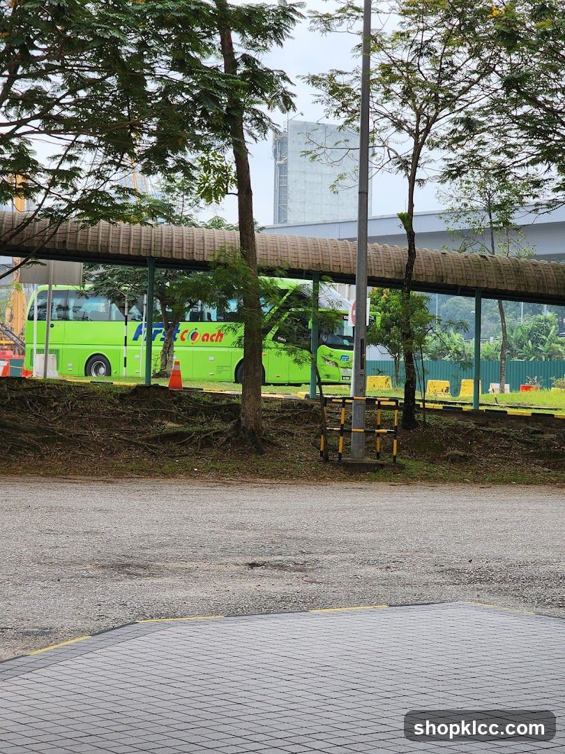Green Bus at Bus Stop