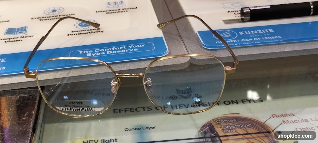 Eyeglasses and Eye Anatomy Display