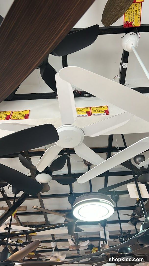 Ceiling Fan Display Store Interior
