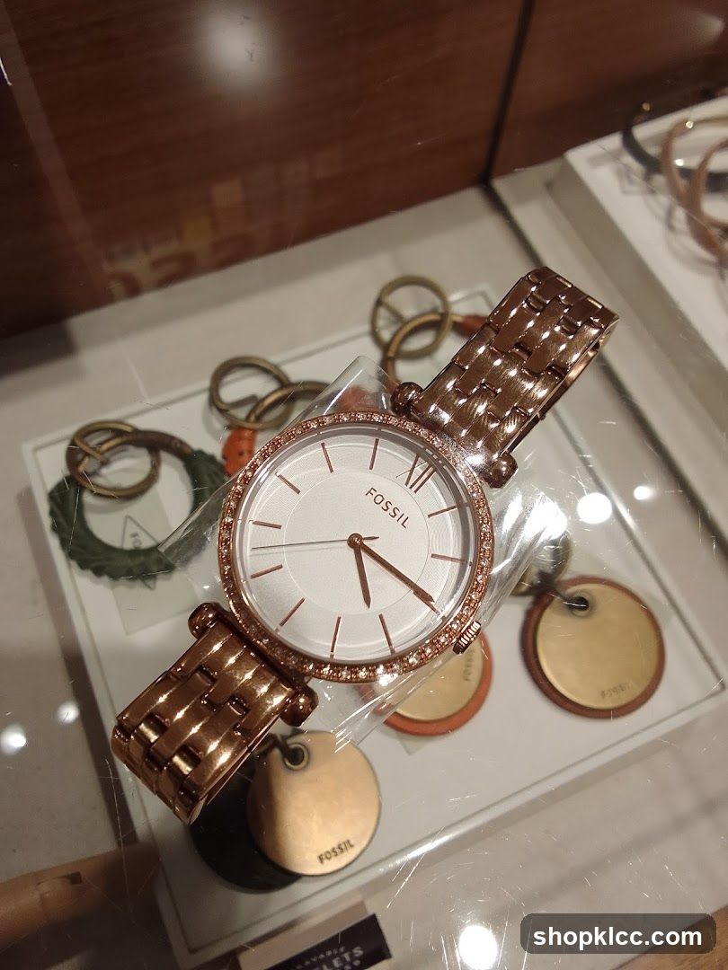 Fossil Watch Display