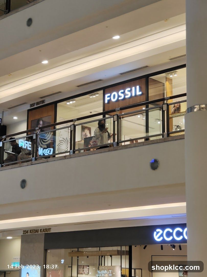 Fossil