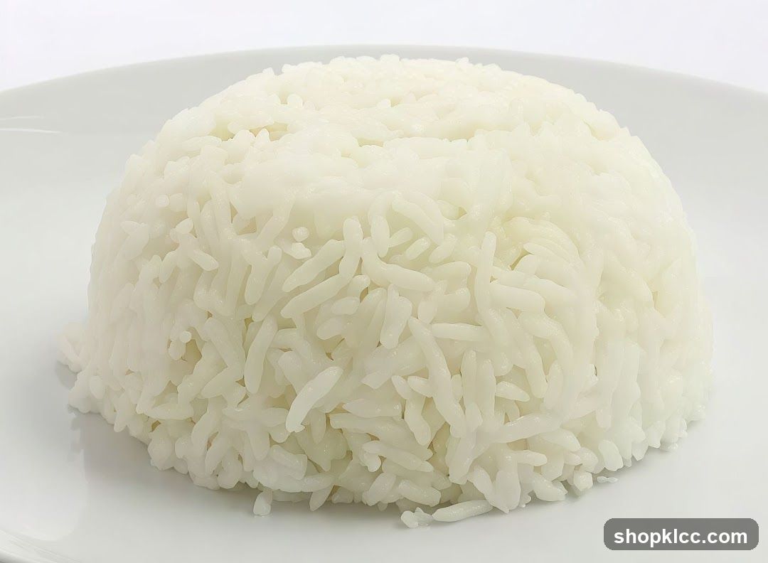White Rice on a Plate