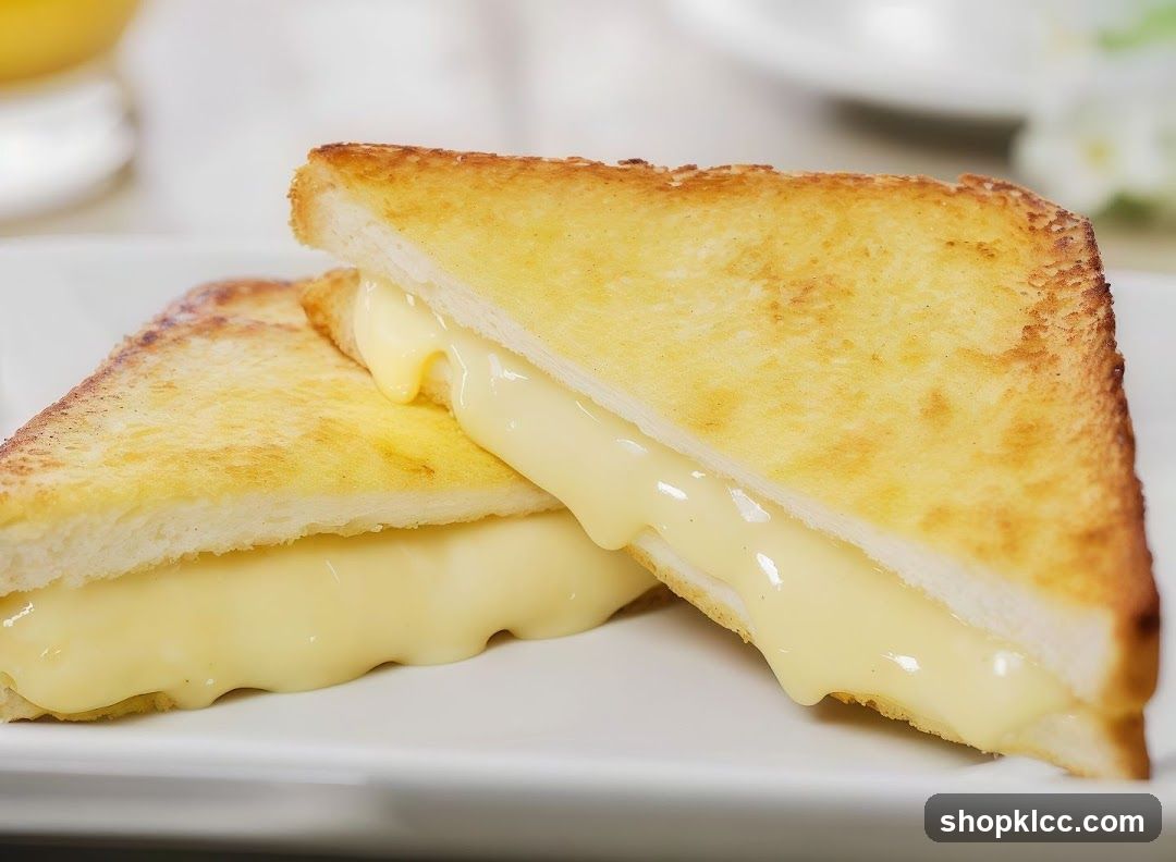 Cheese Sandwich