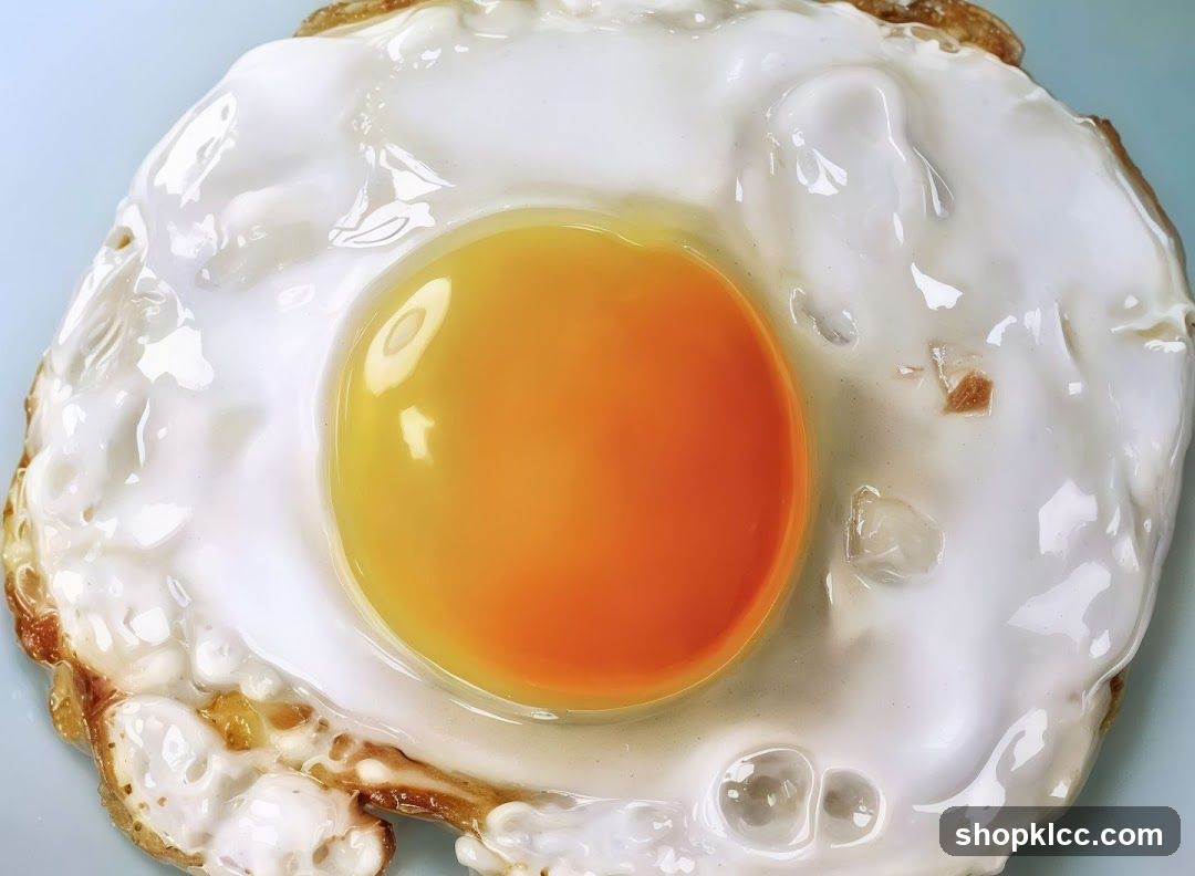 Fried Egg