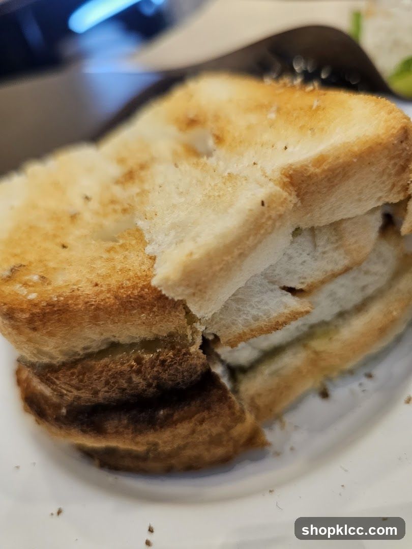 Toasted Sandwich