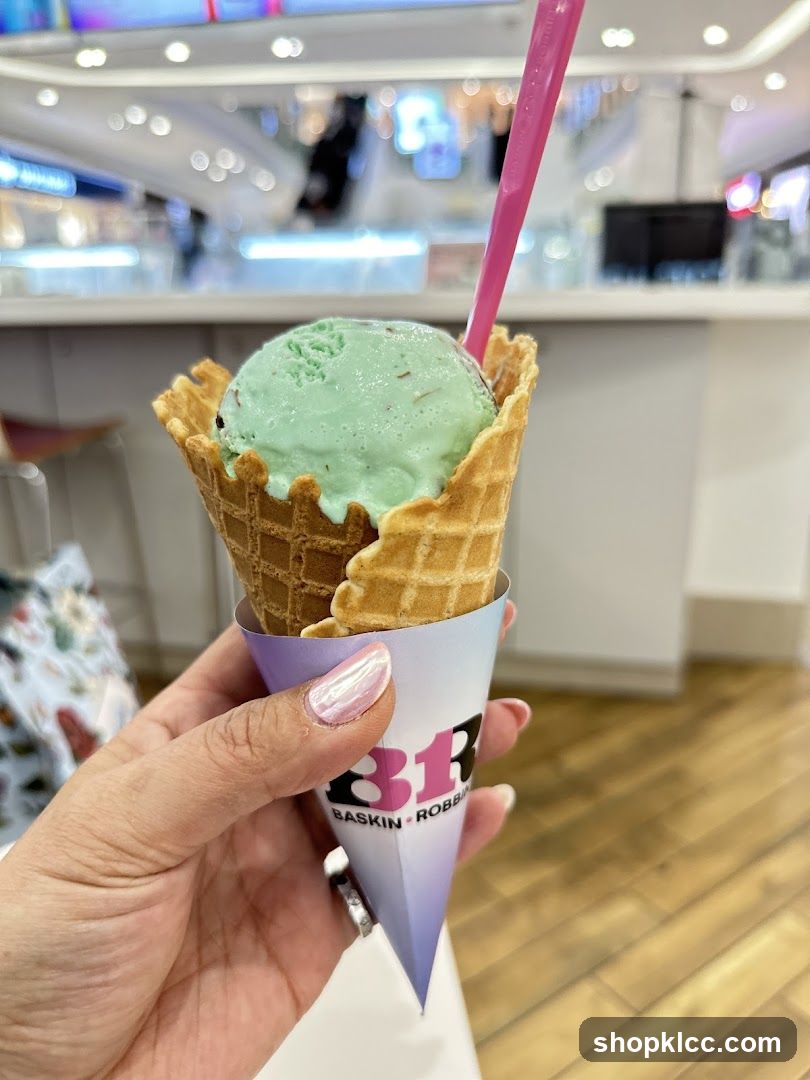 Mint Chocolate Chip Ice Cream Cone